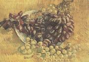 Vincent Van Gogh Still life wtih Grapes (nn04) china oil painting reproduction